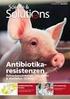 Endotoxine bei Kühen Ein unterschätztes Risiko?