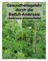 Gesundheitsgefahr durch die Beifuß-Ambrosie (Ambrosia artemisiifolia)