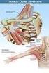 Thoracic Outlet Syndrom