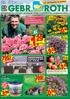 Unser Gärtner Ruben Hillme freut sich auf die Gartensaison 2015. (Pelargonium zonale) Stehend. (Pelargonium peltatum) Hängend. 1.
