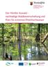 Der Hördter Auwald nachhaltige Waldbewirtschaftung und Platz für extremes Rheinhochwasser