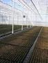 Bewässerung in Gewächshäusern bei Bodenkulturen und in erdelosen Systemen