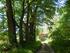 Endlocse Wälder in endloser Schönheit. Atemberaubende Landschaft im Bayerischen Wald.
