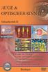AUGE & OPTISCHER SINN II