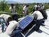 Datenblatt: Smart Solar Grid bei NPH Haiti und der St. Luc Stiftung in Tabarre