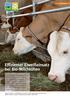 Effizienter Eiweißeinsatz bei Bio-Milchkühen