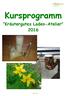 Kursprogramm Kräutergutes Laden-Atelier 2016