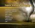 Didaktische DVD. Tropische Wirbelstürme und Tornados Tropical Storms and Tornadoes. Das Medieninstitut der Länder
