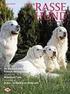 Ausgabe Das offizielle magazin des vdh. Aus dem Verband Verleihung der Gingins-Medaille. Kynologie aktuell Die 51 Mütter des Haushundes