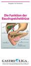 Die Funktion der Bauchspeicheldrüse
