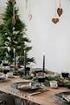 dōterra WEIHNACHTEN 2013 FREUDE an der Weihnachtliche Aromen Rezepte für die Feiertage Geschenk-Ratgeber