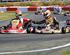Deutsche Kart Meisterschaft 2014 Int. ADAC Rennen Kerpen