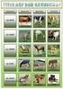 ON! Reihe Tiere auf dem Bauernhof Arbeitsmaterialien Seite 1 DVD Das Rind. Das Rind in unserer Ernährung