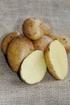 Kartoffel Tolle Knolle Kartoffelsorte AGRIA