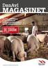 DanZucht MAGAZIN. Nov 2008 #01. Sieger beim. Das Magazin für moderne Schweineproduzenten