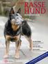 Ausgabe Das offizielle magazin des vdh. Aus dem Verband Der Australian Cattle Dog Club Deutschland e.v.