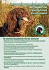 Tipps und Anregungen zur Aufzucht und Einarbeitung von Deutschen Wachtelhunden