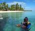 Korallen Küste Hotels, Insel Viti Levu