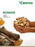 biomasse die aufgabe kompetenz Prozessablauf Schlüsselkomponenten