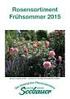 WERTVOLLE ROSEN 2012 IM 7 LITER CONTAINER. Sortenmix laut Ihren Wünschen Minimum 5 Stück pro Sorte 1 CC = 45 Stück (15 Stk. pro Lage) * 1 A Qualität