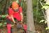 Arbeiten im Wald = Arbeiten an der Gefahr