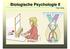Biologische Psychologie II Peter Walla