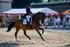Schwäbische Meisterschaften Junge Reiter-Junioren-Pony Dressur-Springen am in Bad Wörishofen