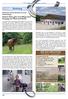 Einklang. Unser Blättsche Ausgabe 66 Juli Andrea Klein geht neue Wege beim Umgang mit Pferd und Reiter