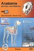 Anatomie der Haus- und Nutztiere real3d (Biologie Sek. I, Kl. 5+6)