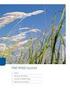 Bericht über die Prüfung Jahresabschluss 2013, Windpark Pettendorfer Rangen gku