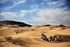 Trekking in der Wüste Gobi Dauer: 10 Tage