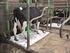 Milchleistung als ein Faktor der Tiergesundheit und Fruchtbarkeit