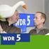 WDR 5 Alles in Butter: Fleischsalat Test