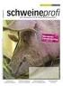 Futterberechnung für Schweine 21. Auflage