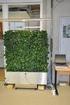 Grün cool Gebäudeklimatisierung durch Verdunstungsleistung von Pflanzen
