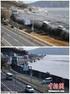 Seebeben und Tsunami in Japan am 11. März 2011 und Konsequenzen für das Kernkraftwerk Fukushima Daiichi
