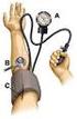 Arbeitsanleitung Blutdruckmessung