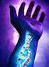 Fremde DNA im menschlichen Genom: Konsequenzen für das Wirts- und das Fremdgenom