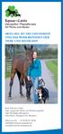 Equus Canis Osteopathie Physiotherapie für Pferde und Hunde
