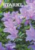 BAMBUS ANGEBOTE GÜLTIG VON BIS Zum Muttertag... Duft-Rhododendron Fragrance Rhododendron Hybride. statt