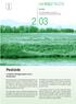 UMWELT FACTS. Pestizide. in St.Galler Fliessgewässern und im Grundwasser. April 2003