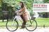 E-BIKES 2014 AUSGABE HERBST 2013