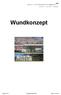 Wundkonzept. Version 15.1 Wundkonzept APG Seite 1 von 25