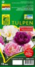 TULPEN. Päonienblütig GEFÜLLTE MISCHUNG. Größe 11/12. Langblühend; April-Mai. Pflanzzeit: September-31 Dezember. Zwiebeln aus Kulturmaterial vermehrt.