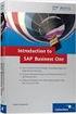 SAP Business One kompakt
