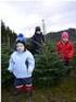 OÖ Christbaumbauern sind für das Weihnachtsfest gerüstet. Oberösterreicher wollen zum Fest einen Baum aus der Heimat