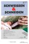 SCHWEISSEN & SCHNEIDEN 53 (2001) Heft 4 Techniken zum Vorbeloten doc 1