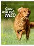 WILD. Ganz wild auf. Aktiv I Topthema. Für den Hund ist es reine Jagdlust, für den Menschen oft nur Frust: Wenn sich unerwünschtes