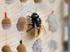 Zwischenbericht Maßnahmen zur Förderung der Bienengesundheit Klärung von Bienenverlusten mit unbekannter Ursache
