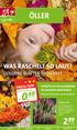 2, 99 ÖLLER 0, 49 HERBSTLICH WILLKOMMEN IN UNSERER GÄRTNEREI! Calluna Trio. Stiefmütterchen. Pflanzen dort kaufen, wo sie wachsen!